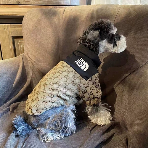 Осень и зимняя модная одежда