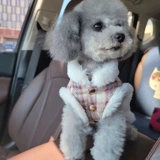 Утепленный удерживающий тепло жилет, осенний сезон