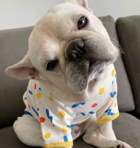 Боевая одежда, одежда пугби, домашняя собака, осенняя и зимняя рубашка, упругая чистая хлопчатобумажная одежда, толстая собачья одежда, бесплатная доставка