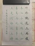 Wu Hongqing Qiankun's Brush Propect Post Fuxi Education Fuxi Class Special Episode of Fuxi Class 29 Poetry Works