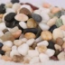 Đá nhỏ màu đá bể cá đá đầy màu sắc đá bảy màu cát hoa nồi trang trí nhà máy làm vườn cung cấp 1 kg