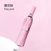 [Обновление] 24 Киле автоматический зонт [Порошок сакура]