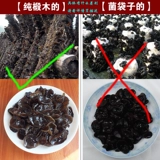 [东北特产黑木耳干货秋木耳长白山500g黑龙江农家木耳云耳肉厚包邮]