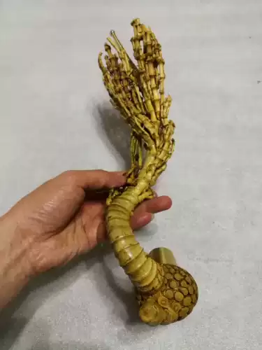 Гуйчжоу народные характеристики ручной работы бамбуковые корни корни дым с крыльями и деформированными боями, играйте массаж, дайте пожилые люди пожилым