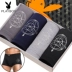 Playboy đồ lót nam boxer thanh niên thủy triều cotton đồ lót nam 100% cotton cotton gợi cảm quần bốn chân quần chip nam Nam giới