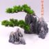 Mô phỏng vẻ đẹp cây thông Luo Han Song kim tuyết tùng cành cây lá bonsai chụp đạo cụ trang trí cây trang trí cảnh quan - Trang trí nội thất đồ trang trí nhà cửa Trang trí nội thất