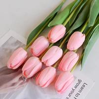 Розовый тюльпан 2