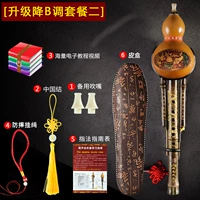 Обновление B -Tenfatt еда 2