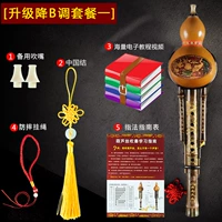 Обновление B Регулирующая еда один