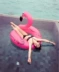 Bơi vòng phao cứu sinh inflatable flamingo công viên nước nguồn cung cấp hàng nổi PVC ghế bơm hơi