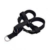 Черный сундук и спина