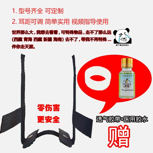 Dubin Black Wolf Demon Corki Wolf Blue Sheep Pet ушной ухой ухо ухо ушной уш