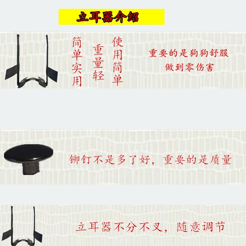 Dubin Black Wolf Demon Corki Wolf Blue Sheep Pet ушной ухой ухо ухо ушной уш