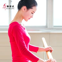 Роза красная