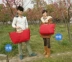 Túi du lịch nữ có thể thu gọn túi xách nam phiên bản Hàn Quốc của túi hành lý khoảng cách ngắn dung tích lớn nhẹ đơn giản túi chống nước du lịch