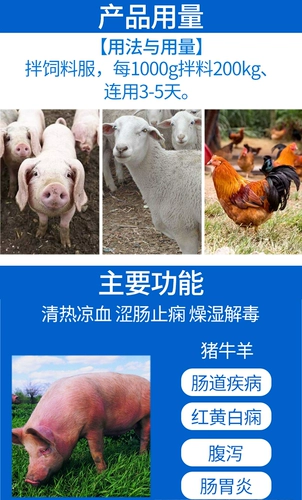 Белый -Сан -зверь Wenge San использует участок свиней кишечной палочки с растяжением, чтобы остановить диарею