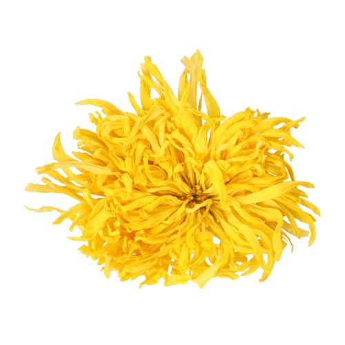 Anhui Huangshan Boutique Golden Imperor Chrysanthemum huangju gongju da ji Цветочный официальный флагманский магазин подлинный мастер