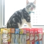 Monster Planet Nhật Bản Inabao tuyệt vời 啾 Mèo lỏng mèo ăn nhẹ nước sốt thịt mèo 4 dải - Đồ ăn nhẹ cho mèo thức ăn mèo con