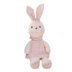 Chính hãng HWD Hao Wei Da Anne Rabbit Doll Đồ chơi trẻ em Ngủ thoải mái Gối Ragdoll Bunny - Đồ chơi mềm do choi Đồ chơi mềm