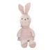Chính hãng HWD Hao Wei Da Anne Rabbit Doll Đồ chơi trẻ em Ngủ thoải mái Gối Ragdoll Bunny - Đồ chơi mềm Đồ chơi mềm