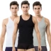 3 cái Cat Men Men 100% Cotton Vest Mùa hè Thin Slim Cotton Đen Trắng Tay áo - Áo vest Áo vest