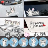 Сырная кошка водителя для водителя новичка Cat Car Cover Cover Scratch Scratch Personal