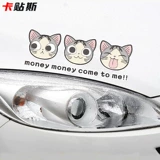 Сырная кошка водителя для водителя новичка Cat Car Cover Cover Scratch Scratch Personal