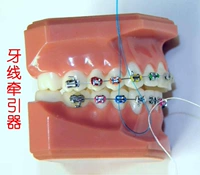 Купить 2 Дайте 1 Love Dental Dental Dental Direction Line Line Orthodontic Container Curret