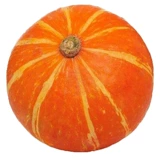 Shouguang Huangpi Little Pumpkin Seeds Seeds Северный северный Южный Китай