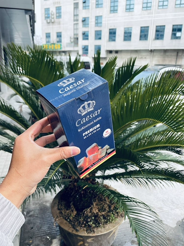 Цезарный уголь Цезарь 96 кусочков импортированной арабской воды сигарет кокосовой кокосовой уголь