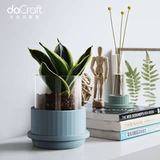 Ins nordic creative small Fresh Office Desktop Hydroponic Poly Plow Poly Polyglysis Gypsum Glass Vase