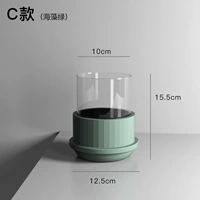 C Type Seaweed Green