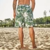 Xu hướng mới của nam giới in quần 4 điểm cỡ lớn quần đi biển Mùa hè quần short giản dị lướt trôi quần áo tắm suối nước nóng - Quần bãi biển