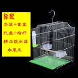 Бесплатная доставка, брат Bird Cage Tiger Pippi Peony Parrie