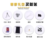 Остин Остин Итальянский импортный Cinkin MU Gen Freemate Freemate Fighting Swip Swip Swimtings