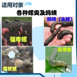 Гуанчжоу Джингбо Уничтожить улитку, убийственная нить нитя, убийство нити убийство улитки, переезжавшие на перемещение