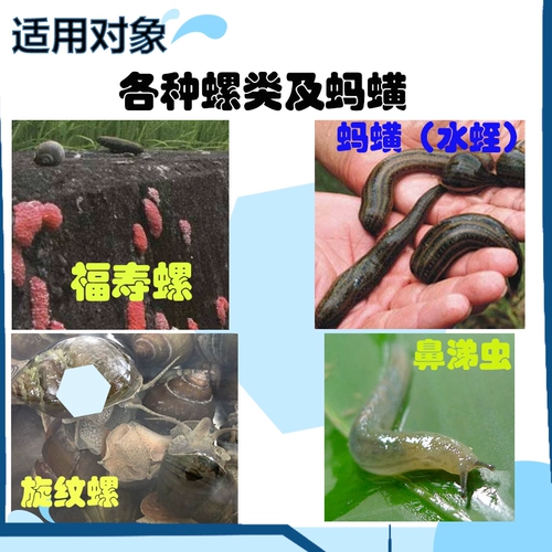 Гуанчжоу Джингбо Уничтожить улитку, убийственная нить нитя, убийство нити убийство улитки, переезжавшие на перемещение