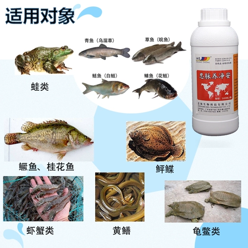 Подлинная лояльность, чистота, углеводородный, соль 80 Высокий регулятор качества воды. Удаление очистки воды нефтяной мембраны Дезинфекция, стерилизация, удаление водорослей