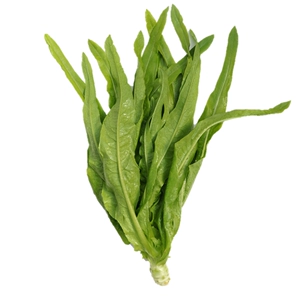 [有机油麦菜 250g（有机鲜）]