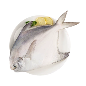 [Супер большой продукт из говядины] Оригинальный Чжоушань Помфрет 350г