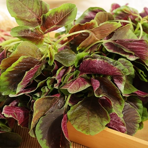 Красный Амарант 300г (Hema Daily Fresh)