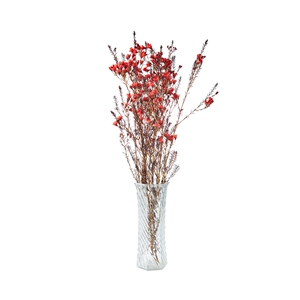 1 пучок австралийских слив произвольного цвета (около 150 г)