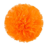 Оранжевое большое кольцо