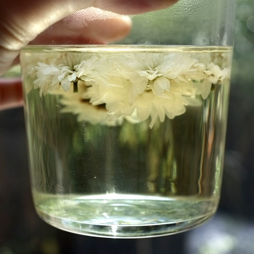 [Новый] Tiantong Chrysanthemum Huangshan Gongju Back Sweet и Sweet, слегка желтый, серная без серы