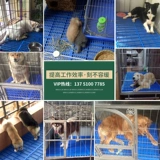 Пластиковая панель пластиковые колодки для петли на пету