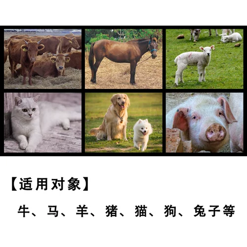 Ветеринарные лекарства и зверей, используемые в инъекциях, свинине, лошадях, крупном рогатого скота, овец, собак, кошек и кроликов.
