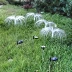 Sợi năng lượng mặt trời sứa đèn đất đèn sân vườn ngoài trời sân vườn biệt thự bãi cỏ nấm đèn trang trí không khí lễ hội