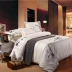 Mới của Trung Quốc hiện đại đơn giản giường bông thêu bốn mảnh bông thêu Trung Quốc nhà phong cách giường chăn ga gối đệm hanvico giảm giá Bộ đồ giường bốn mảnh