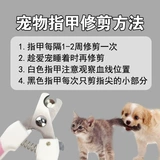 Маникюрные кусачки, напильник для ногтей из нержавеющей стали для маникюра