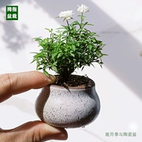 Керамический бассейн ji yueji для отправки водопоглощающих прокладок